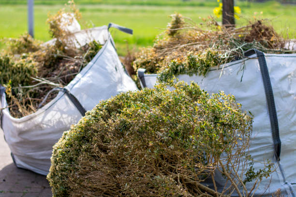 Best Recycling Services for Junk  in West Peoria, IL